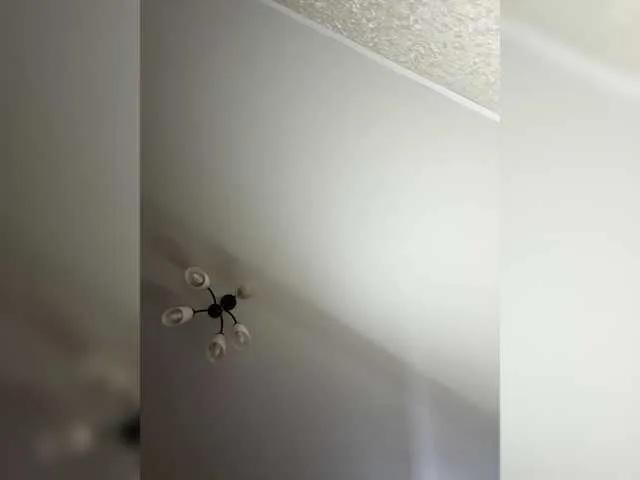 HellMor — The sound of your tokens