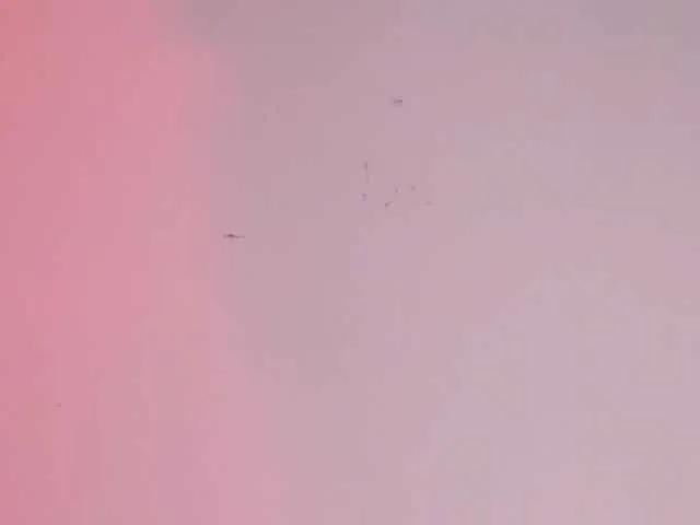 Freechat Pamela-Velvet on BongaCams