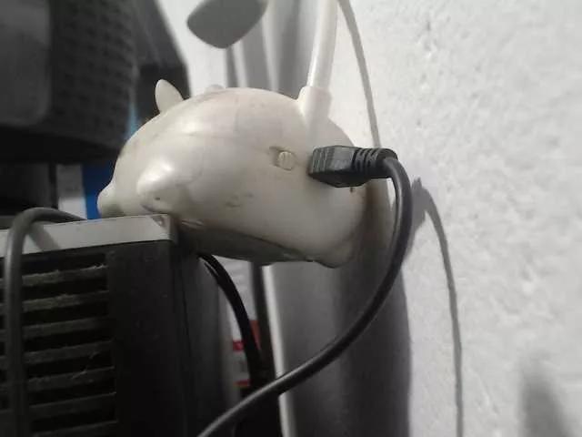 Freechat saimajayeb on BongaCams