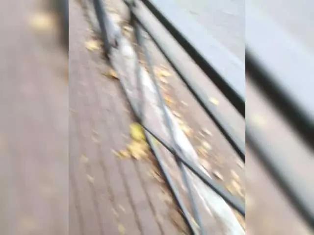 Freechat StacyMilk on BongaCams