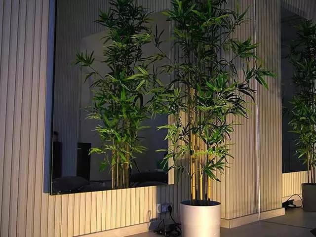 VanesaSimon on BongaCams