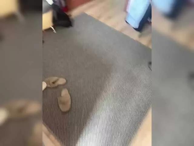 Freechat Xyligana on BongaCams