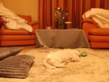 andrasweetie — SHHHH FAMILY HOME/Use my patterns to make me squirt 22,77121,122,288,555,666,777,888,3333,4444 #dickrating #lush #squirt #french #bigboobs #18 #teen #new #bigass #young