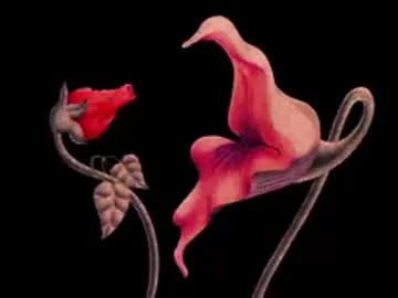 katsurotaro on Chaturbate