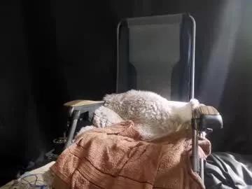 maximus_oreally on Chaturbate