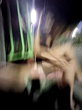 Freechat Alis_1327 on StripChat