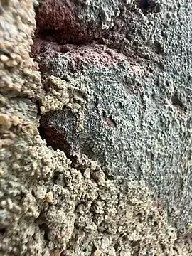 Freechat couplesexroom on StripChat