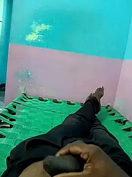 Freechat dolphiinn on StripChat