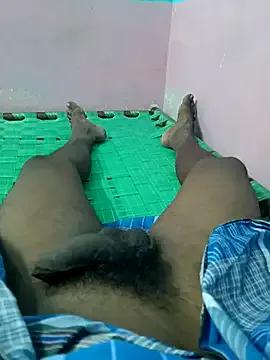 Freechat dolphiinn on StripChat