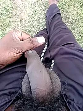 Freechat dolphiinn on StripChat