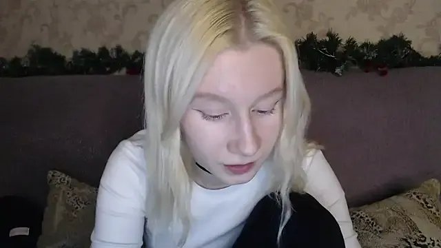 EnigmaSee — cat hair clips