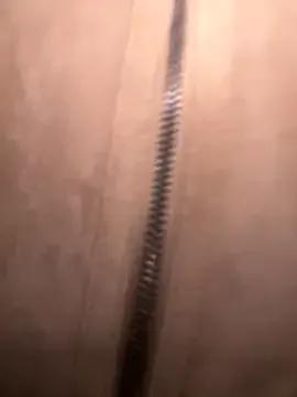 FroggyAnna on StripChat