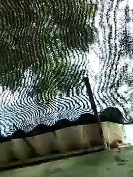 Freechat Maiden-Hot on StripChat