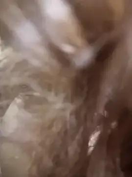 Freechat MILFCandy on StripChat