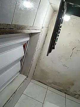 Freechat pornstarbrezillian on StripChat