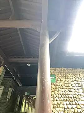 Freechat so-linger on StripChat